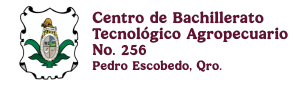 Escolares – CBTa 256