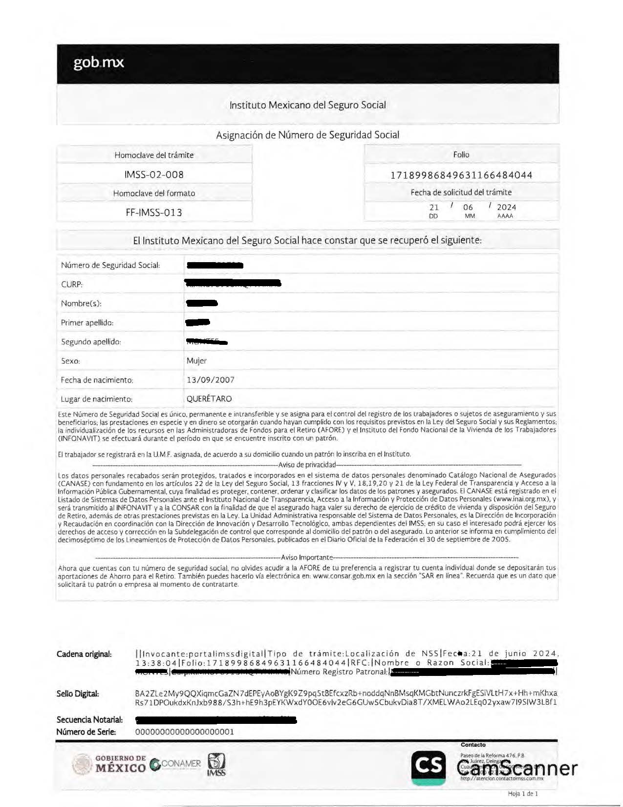 Ejemplo documento NSS